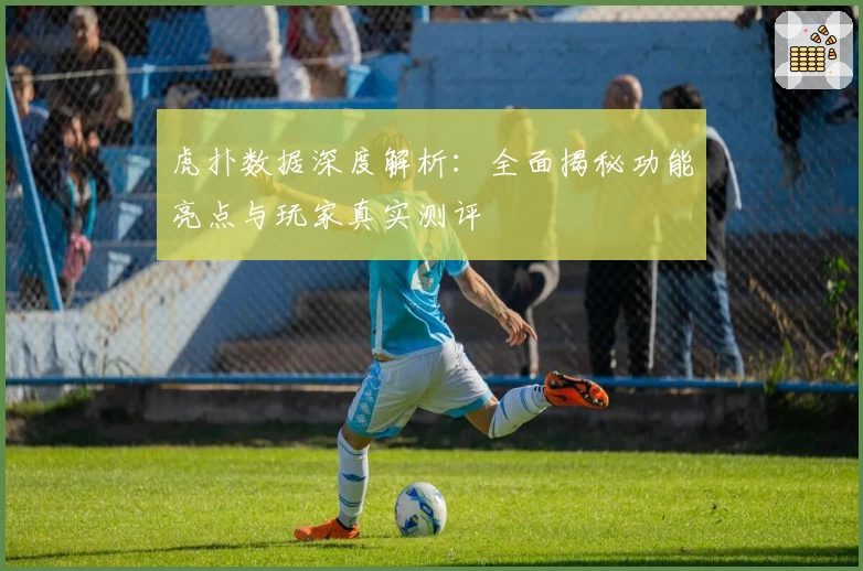 虎扑数据深度解析：全面揭秘功能亮点与玩家真实测评