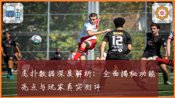 虎扑数据深度解析：全面揭秘功能亮点与玩家真实测评