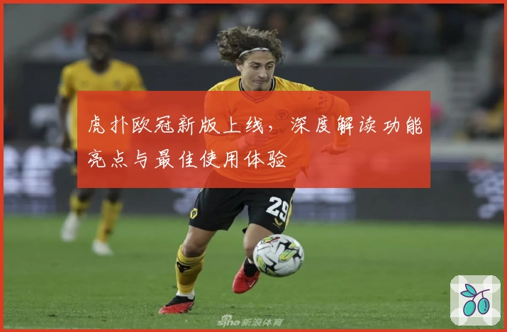 虎扑欧冠新版上线，深度解读功能亮点与最佳使用体验